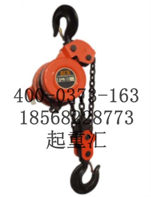 忻州超低型环链电动葫芦价位