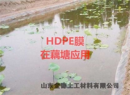 1.2厚HDPE膜是复合防水板膜芯山东 防渗隔离作用