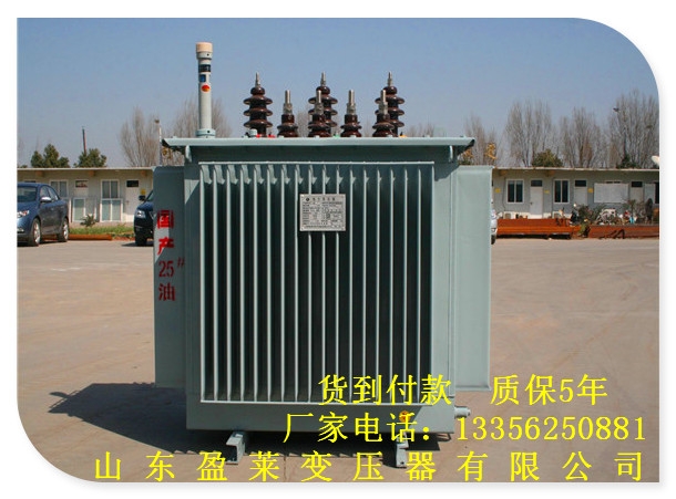 长沙县S13油浸式变压器制造商